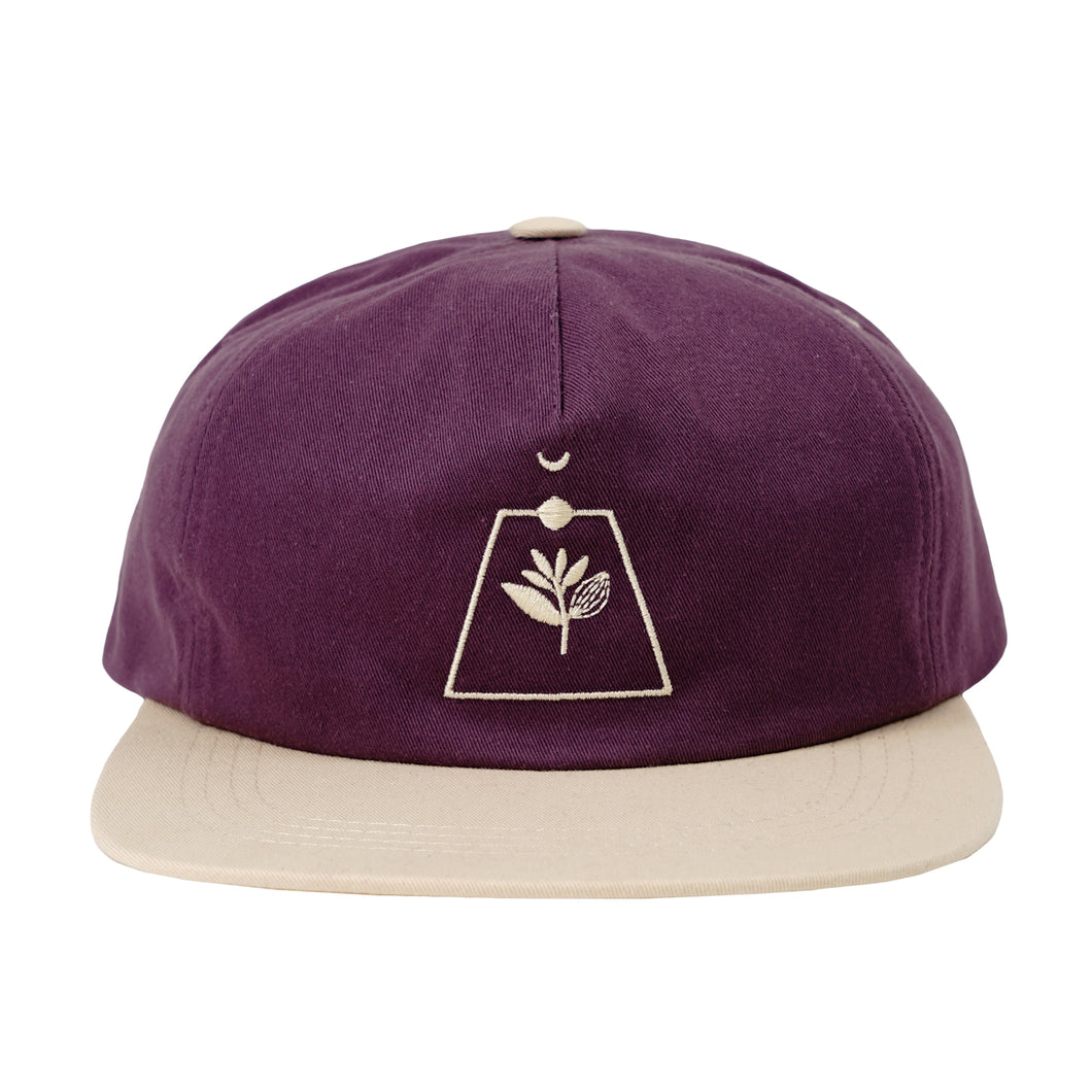 Casquette Magenta Odyssey Snapback